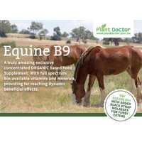 Equine B9 Feed Supplement