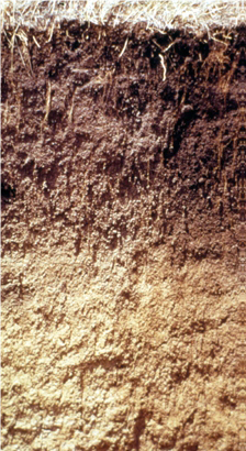 Improved Soil Structure using VolcaMin Zeolite