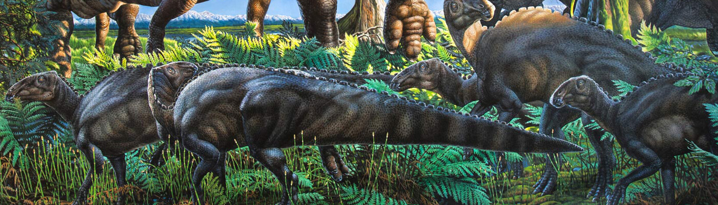 Jurassic Nutritional Therapy 