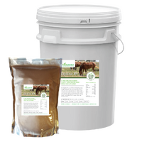 Equine B9 Feed Supplement