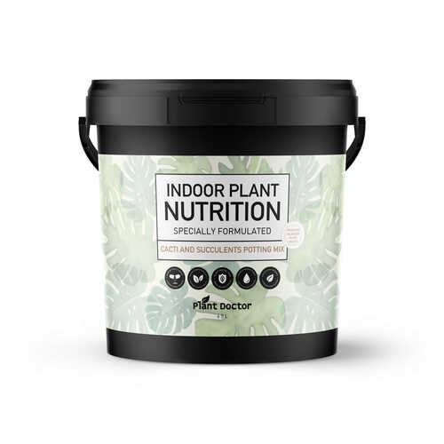 Premium Potting Mix for Cacti & Succulents - 4.5L