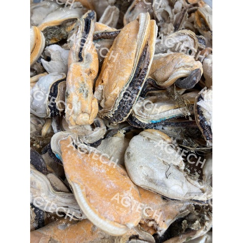 Freeze Dried, Green-lipped Mussels (Whole) - 100% Australian [size: 2 kg]