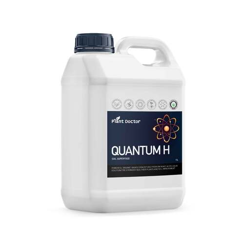 Quantum H ® -  1L