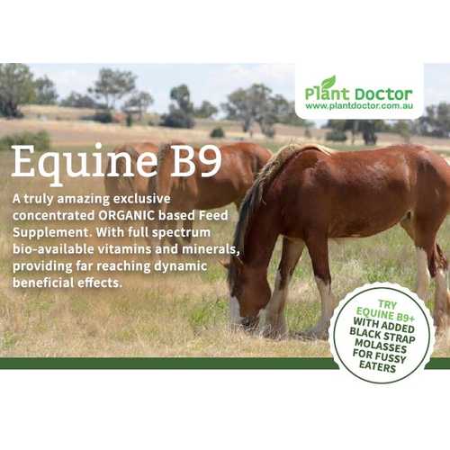 Equine B9 food supplement - 2kg