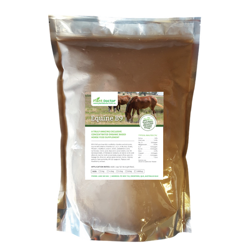 Equine B9 feed supplement - 2kg