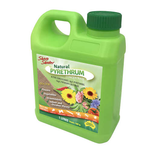 Sharp Shooter Pyrethrum Insect Spray 250ml concentrate