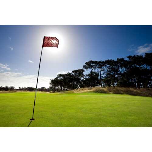 CHAMPION Lawn & Greens fertiliser (50x20kg)