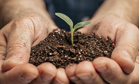 5 best gardening hacks for you - A New Year in the garden