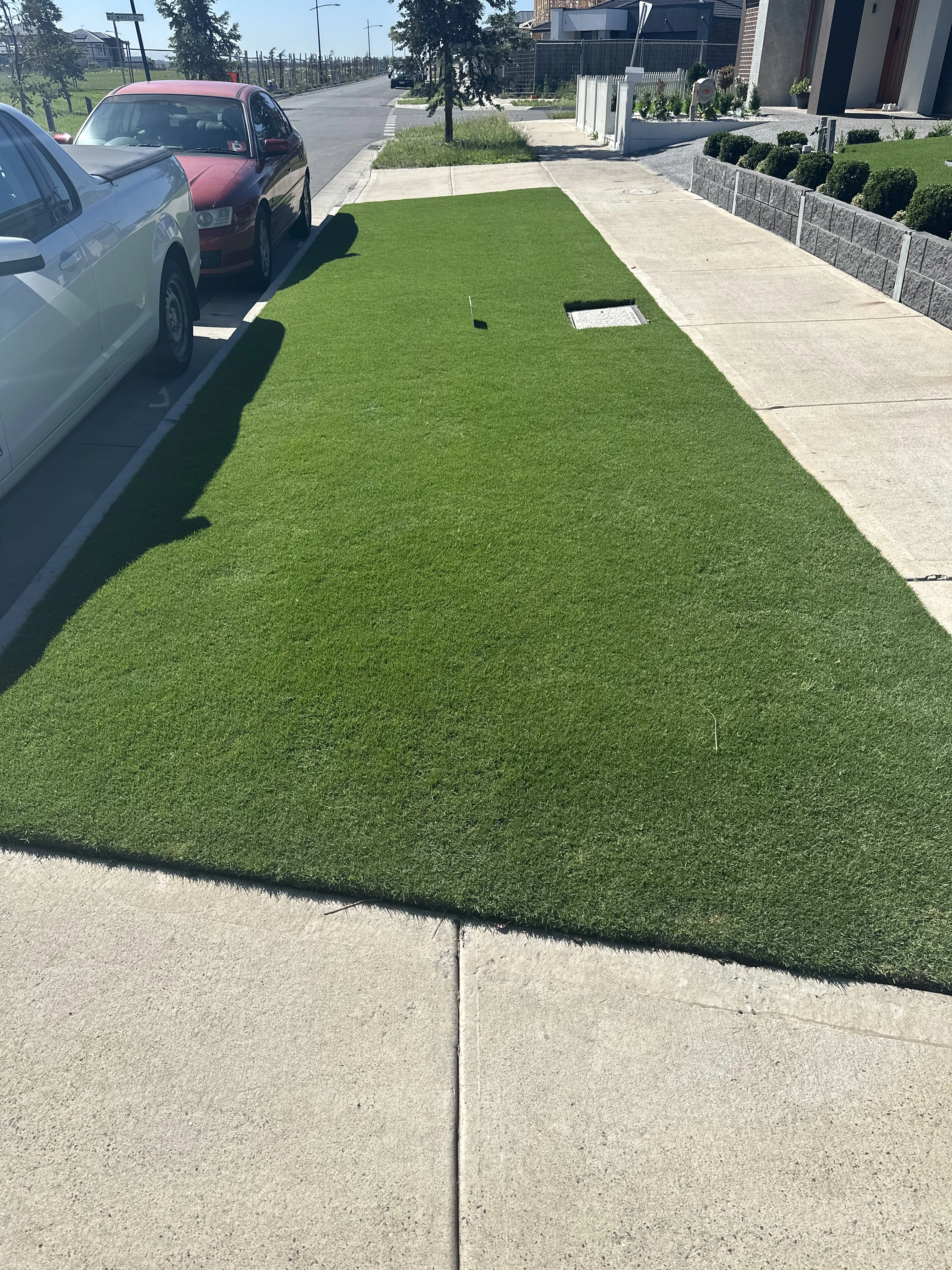 Glenn's Lawn Care Routine