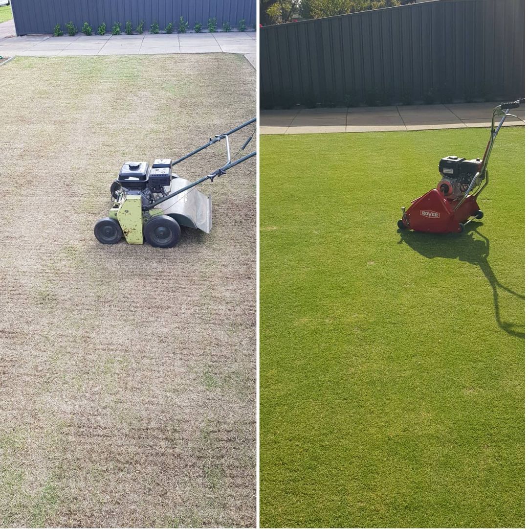 Lawn reno done right!