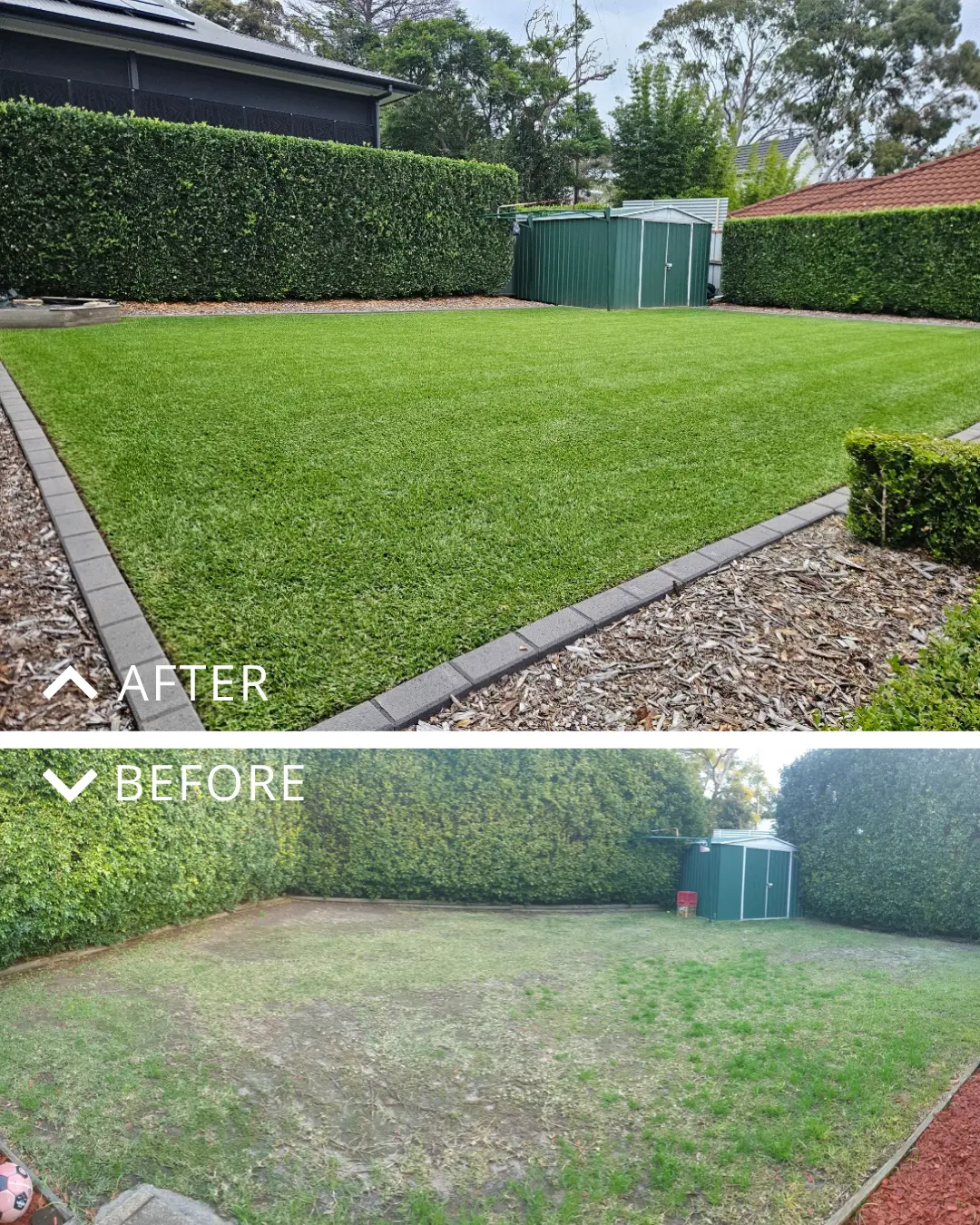 Chris' Lawn Transformation: Building a Healthy, Green Lawn with a Consistent Lawn Care Routine