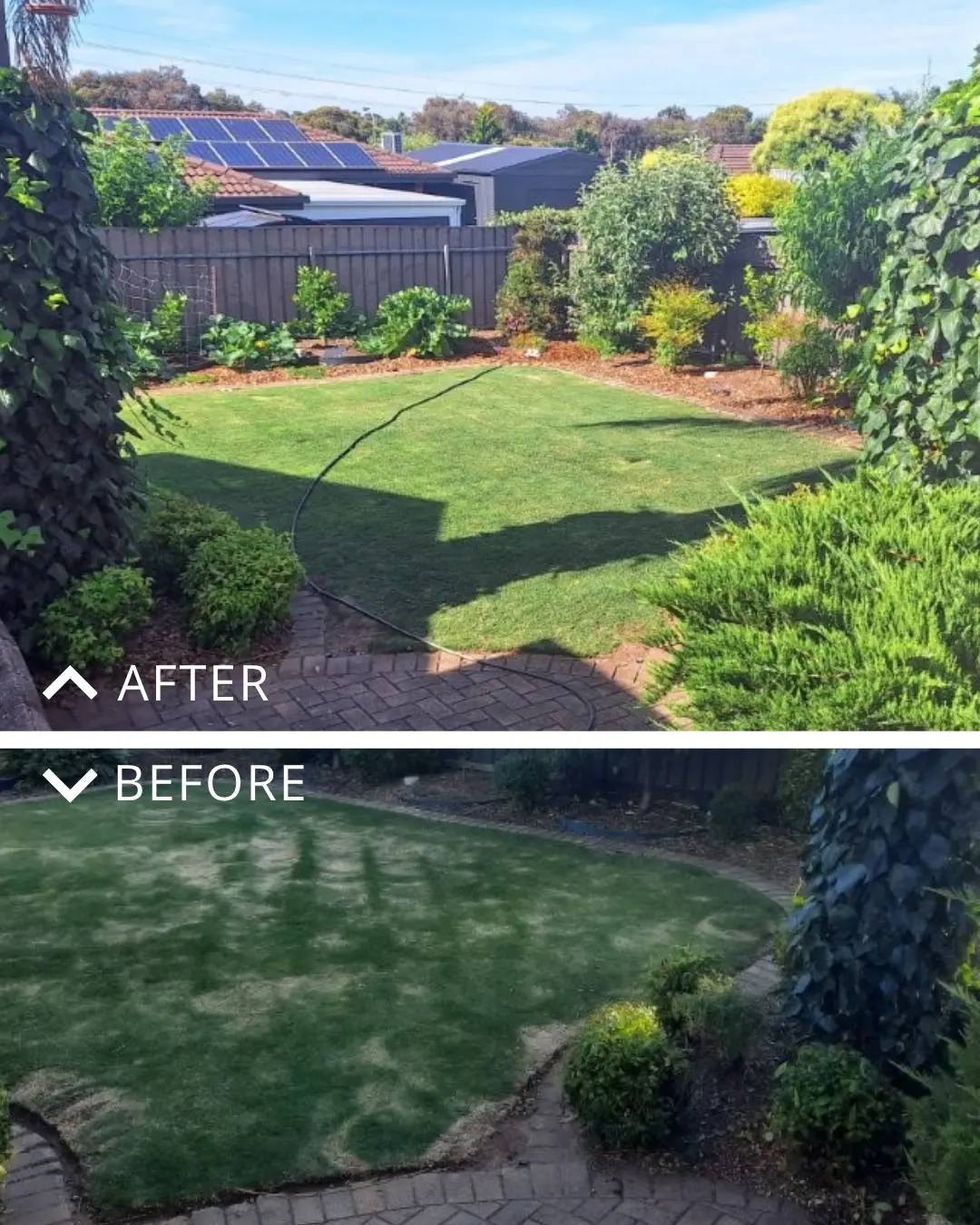 Ian's Lawn Transformation: Reviving a Patchy Lawn with Better Soil Health and Targeted Lawn Care