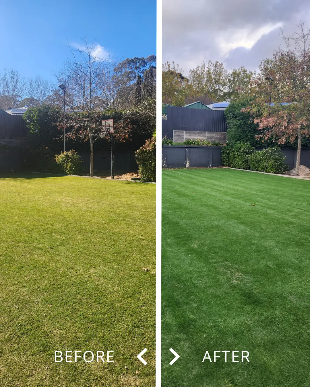 Mason's Lawn Transformation: From Yellow Lawn to Healthy Green Turf