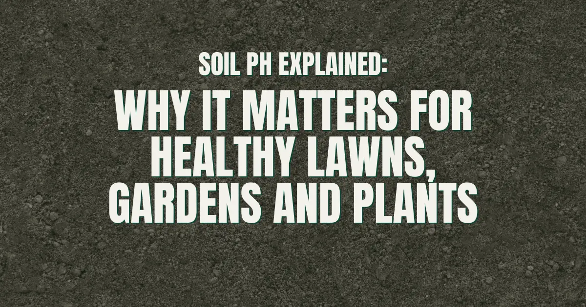Soil pH Explained: Why It Matters for Healthy Lawns, Gardens and Plants