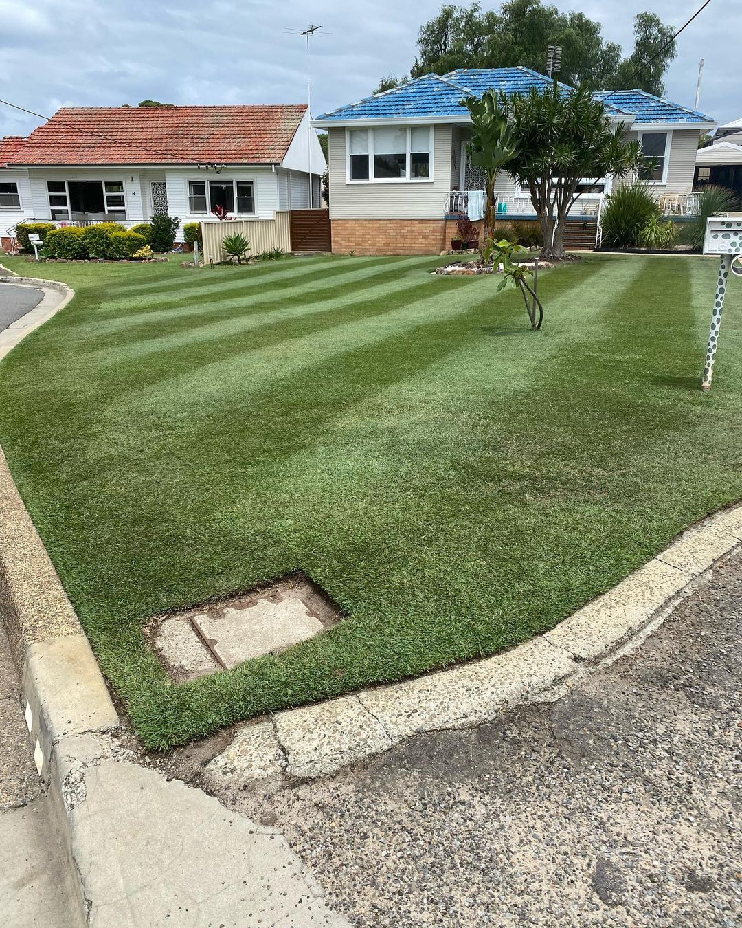 Lawn game level up