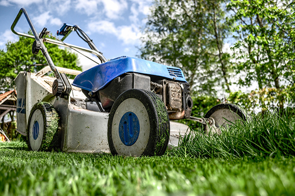 Lawn and garden tips for beginners