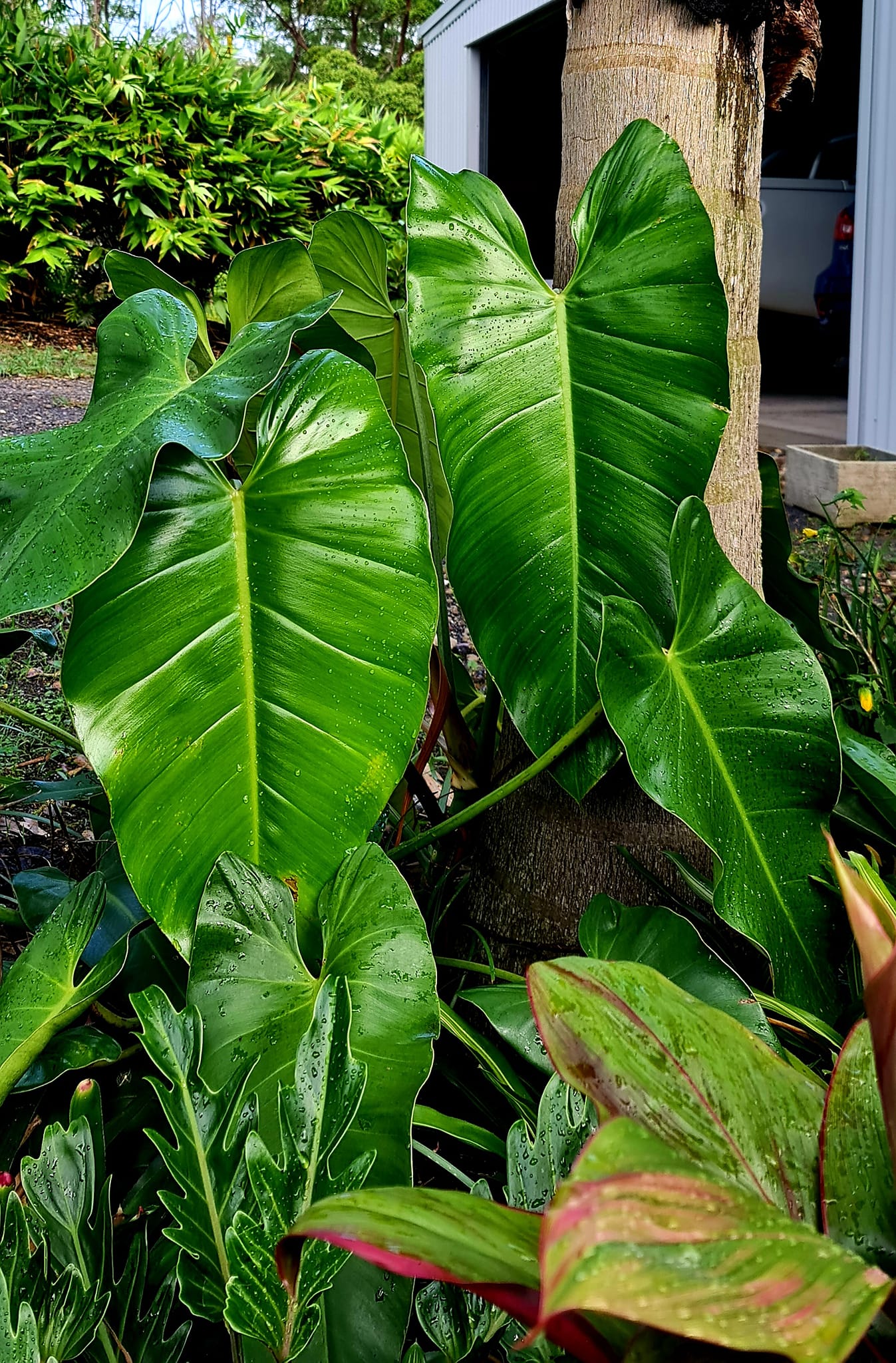 Peak growing times and Autumn preparation tips 