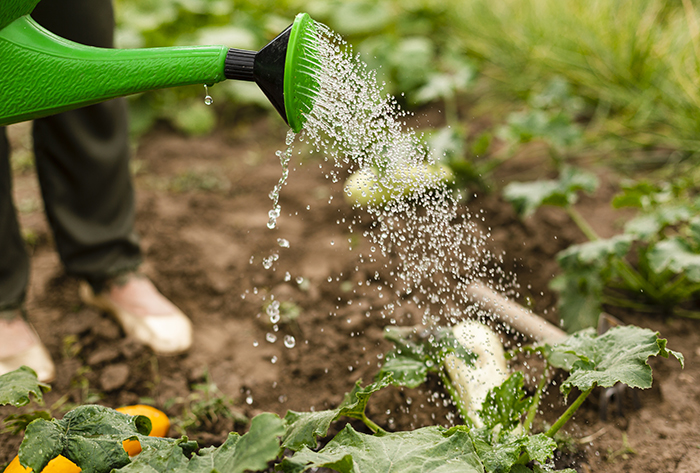 Nature’s Soil Wetter key for drought-stricken yards