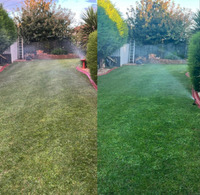 Incredible before and after