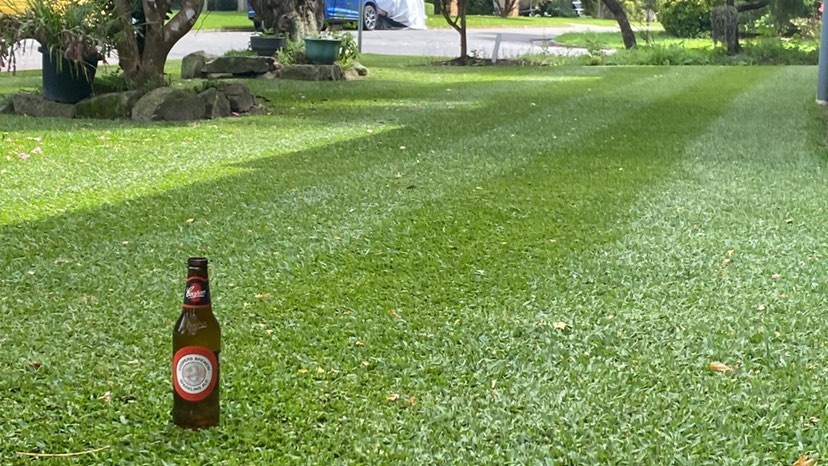A lawn success story