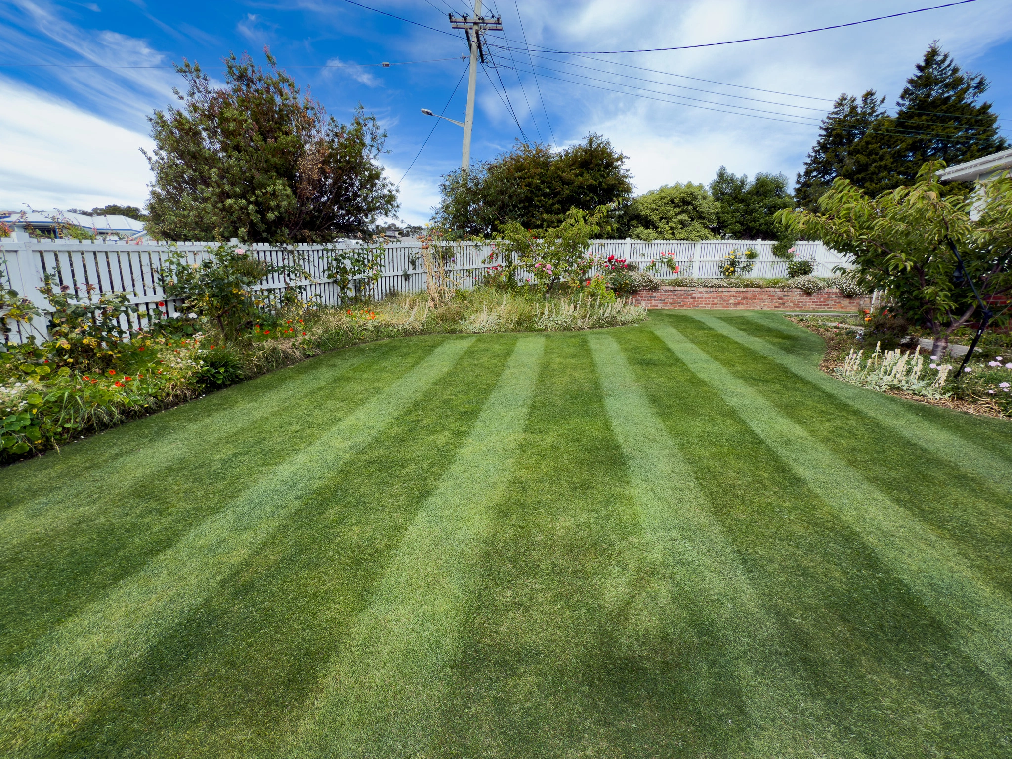 Paul's Hobart Putting Green Lawn: A Professional Ryegrass Care Routine