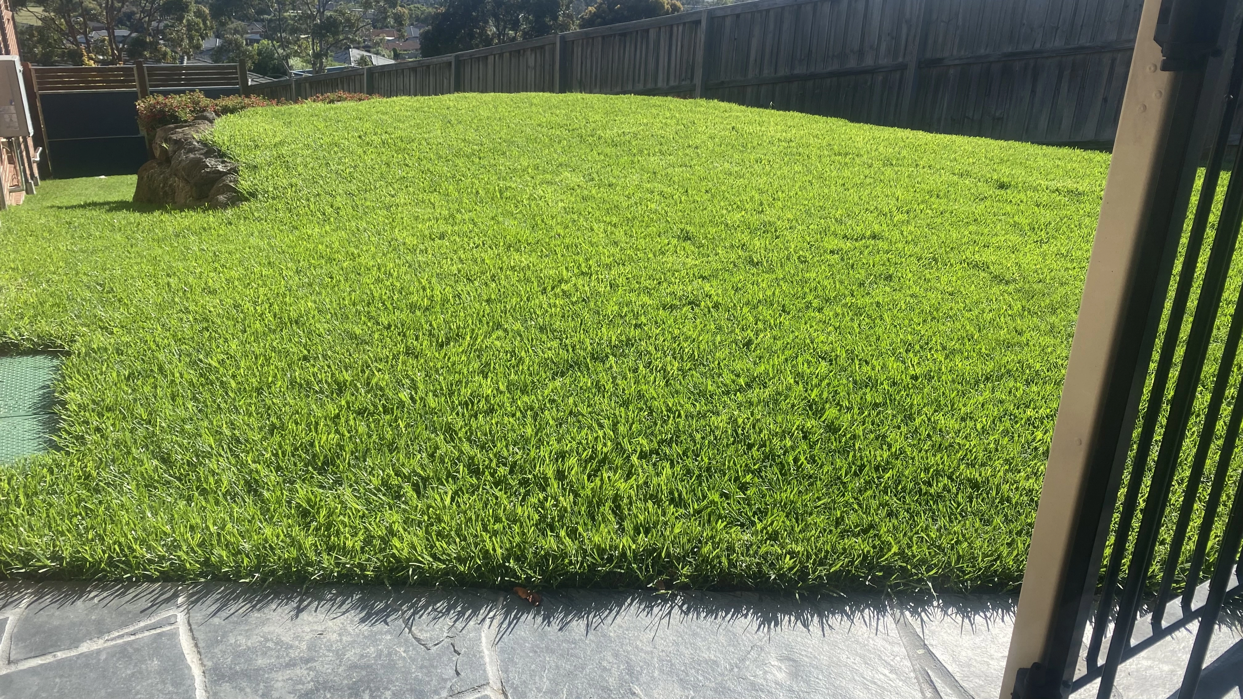 Alex's Lawn Transformation: Building a Lush, Deep Green Lawn