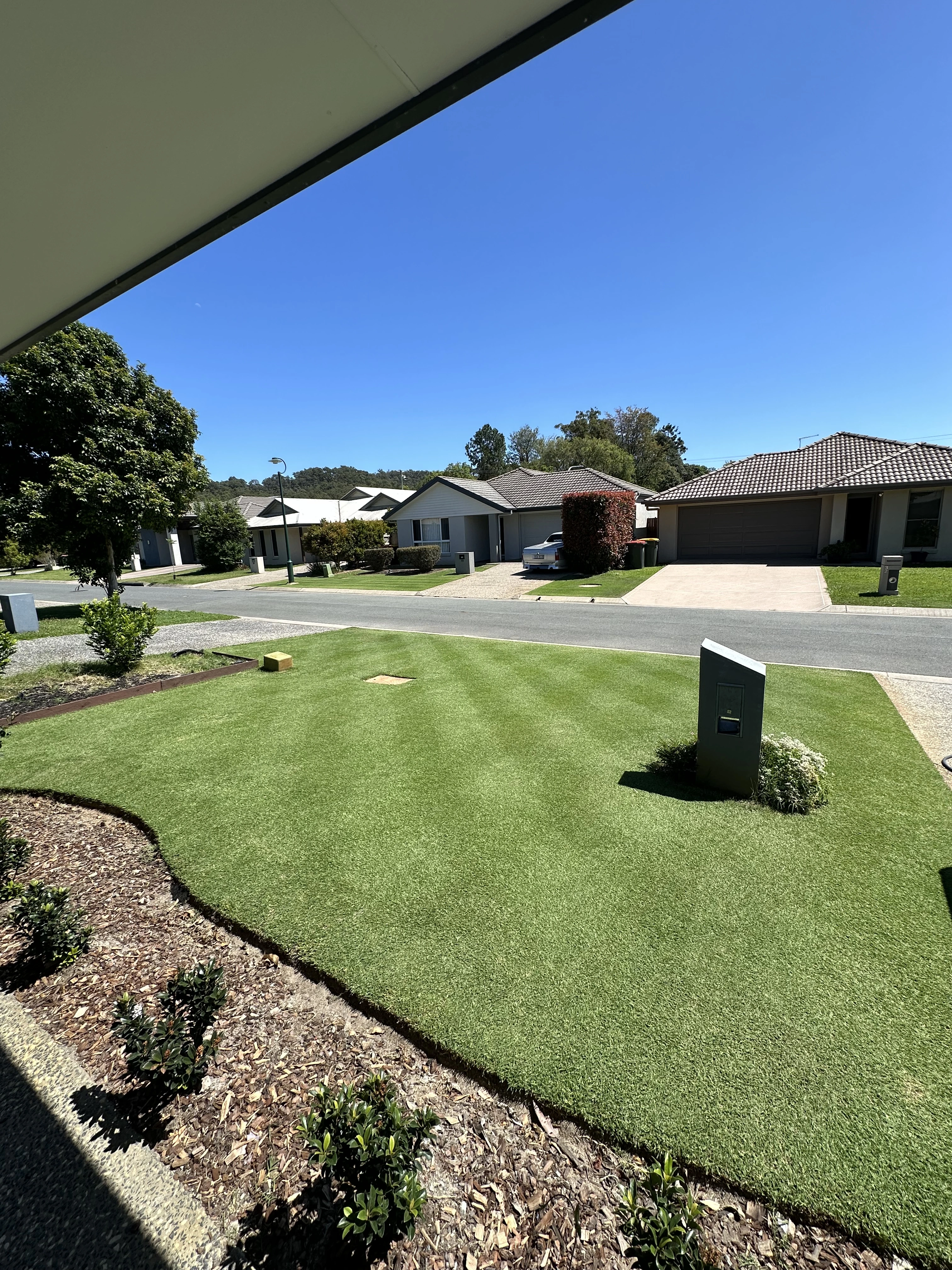 Alex's Complete Lawn Care Routine