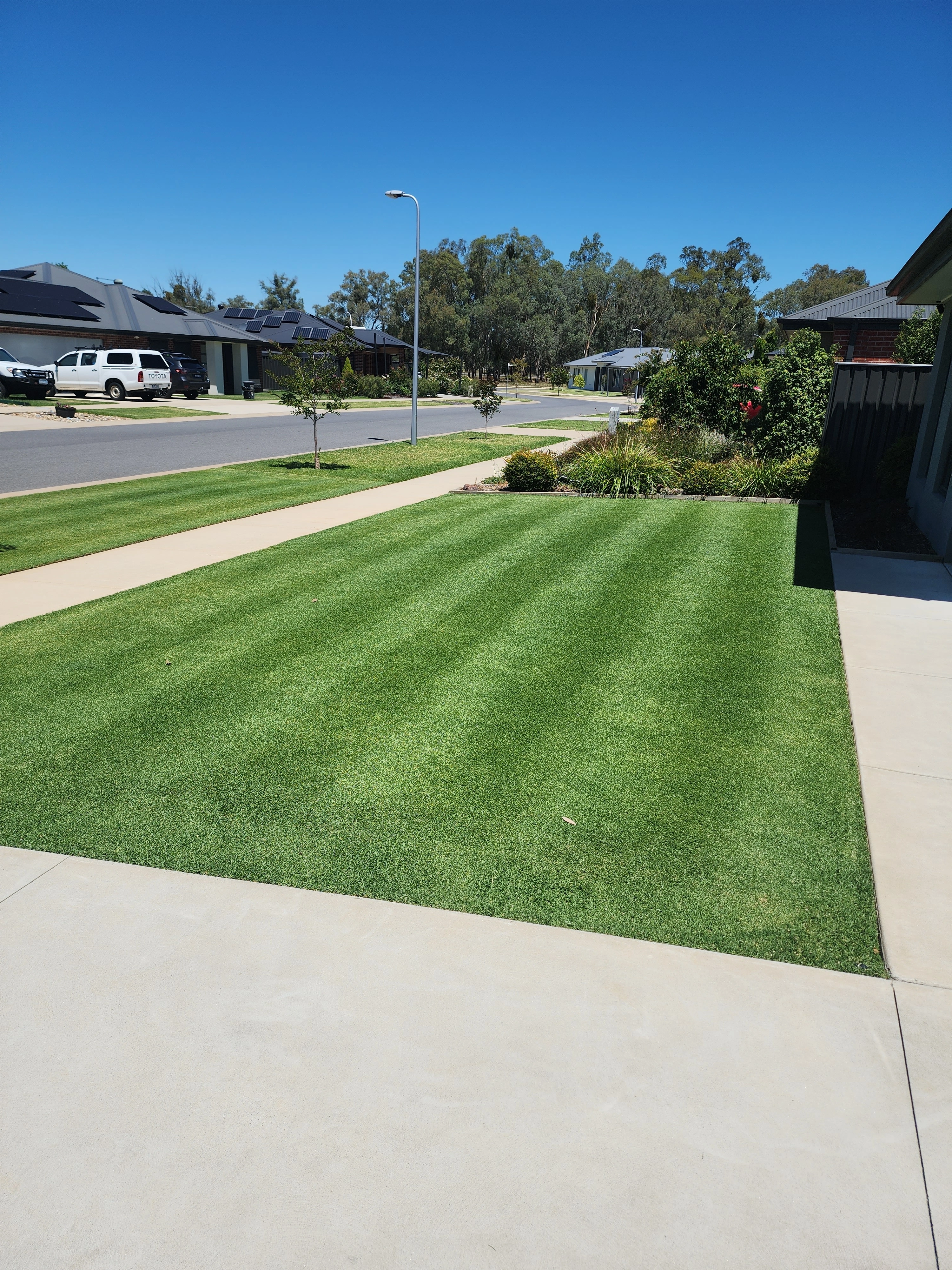 Andy's Lawn Care Routine