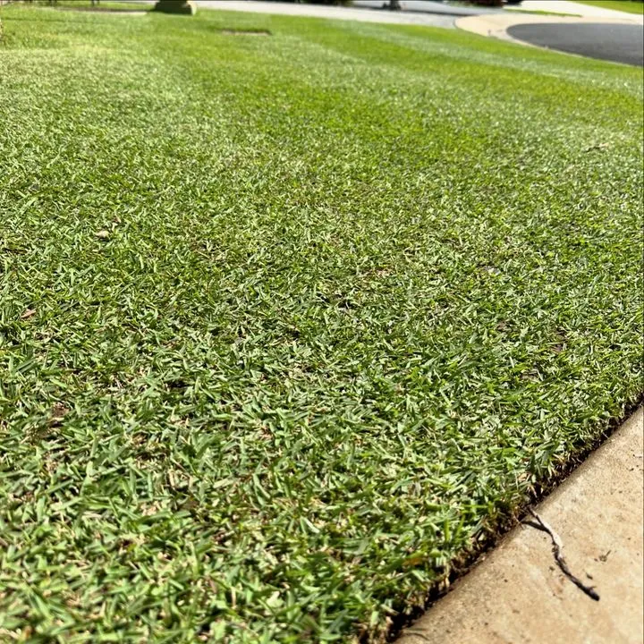 Another top looking lawn!