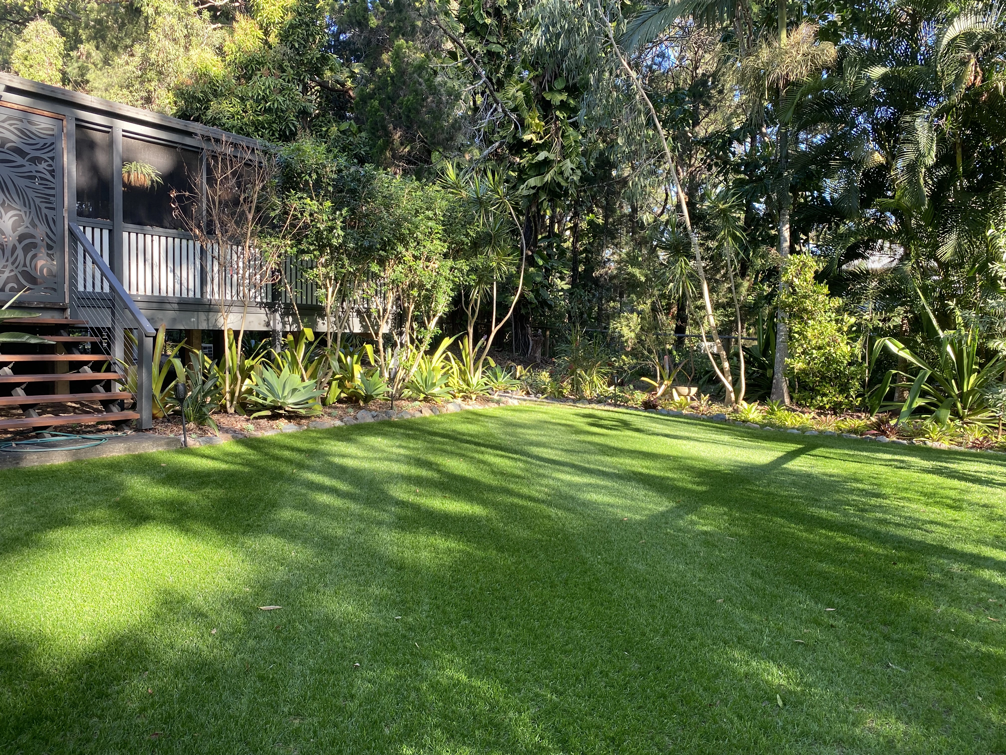 Michelle's Complete Lawn Care Routine