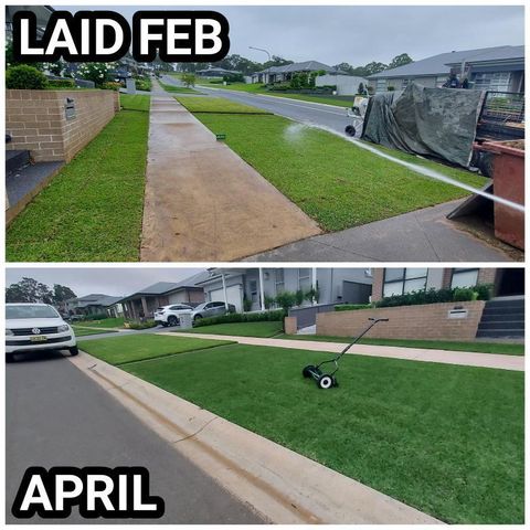 PD Bundle before and after 