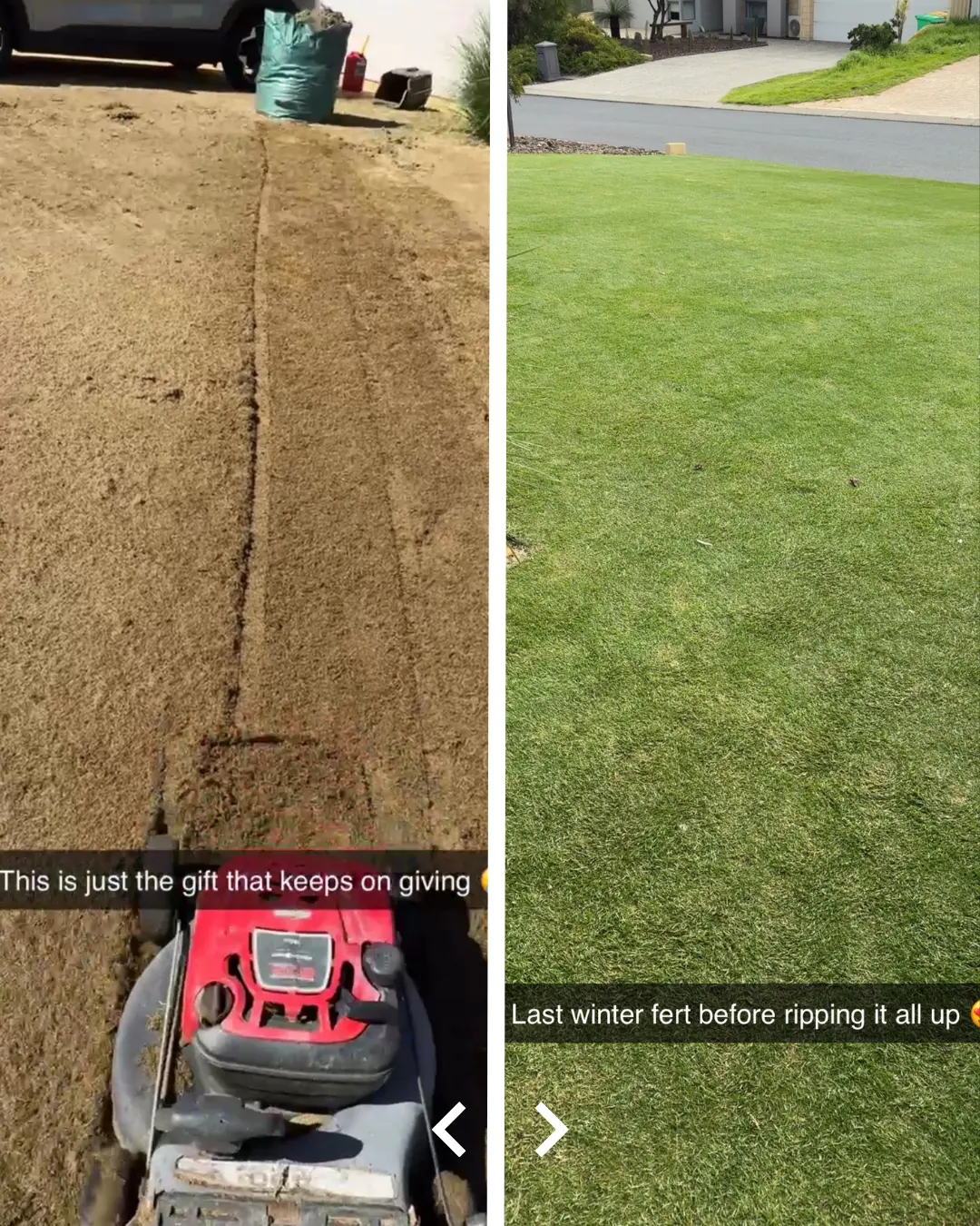 Tim's Lawn Renovation and Winter Care Routine