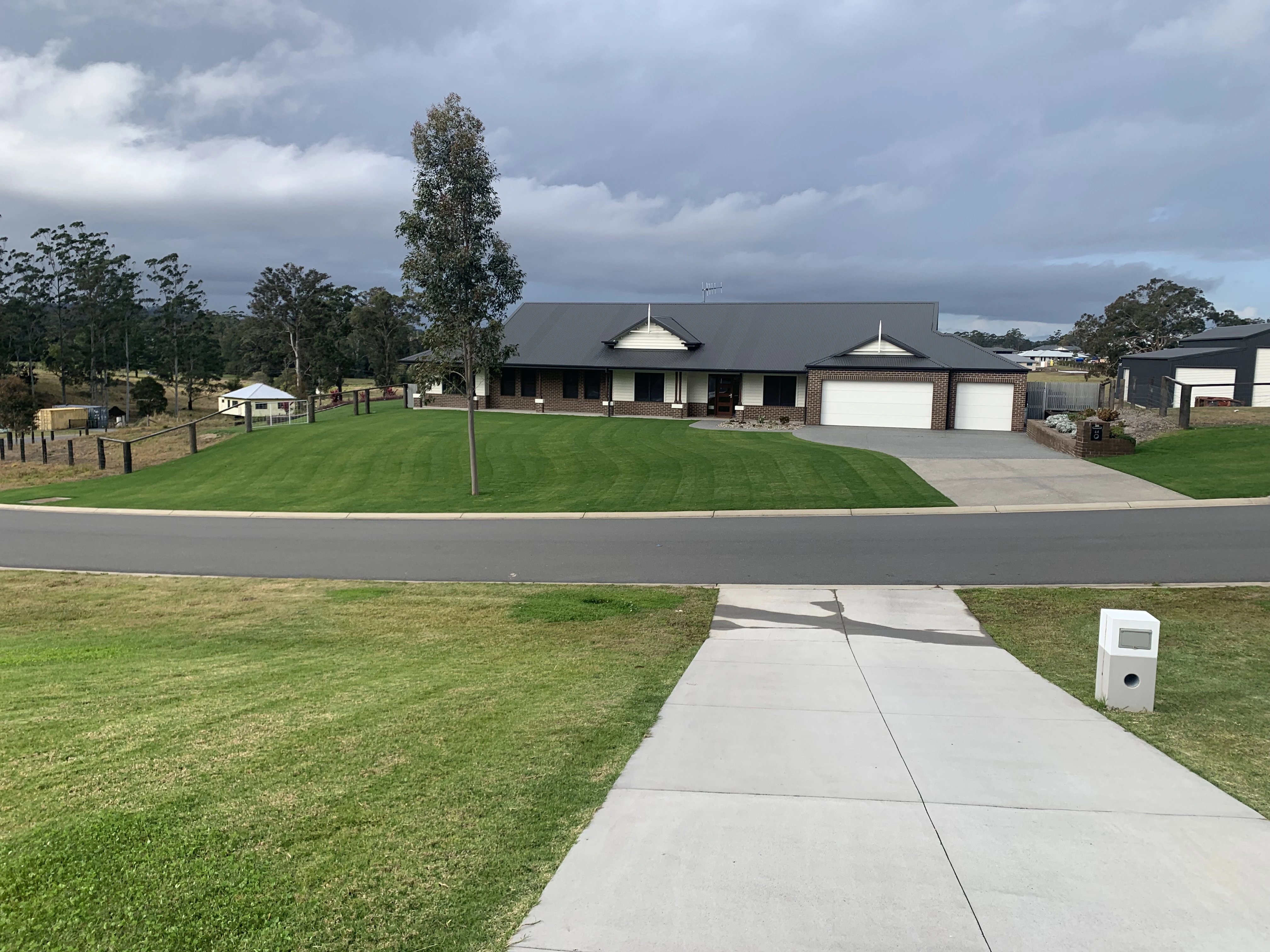 Netty's Fortnightly Lawn Care Routine