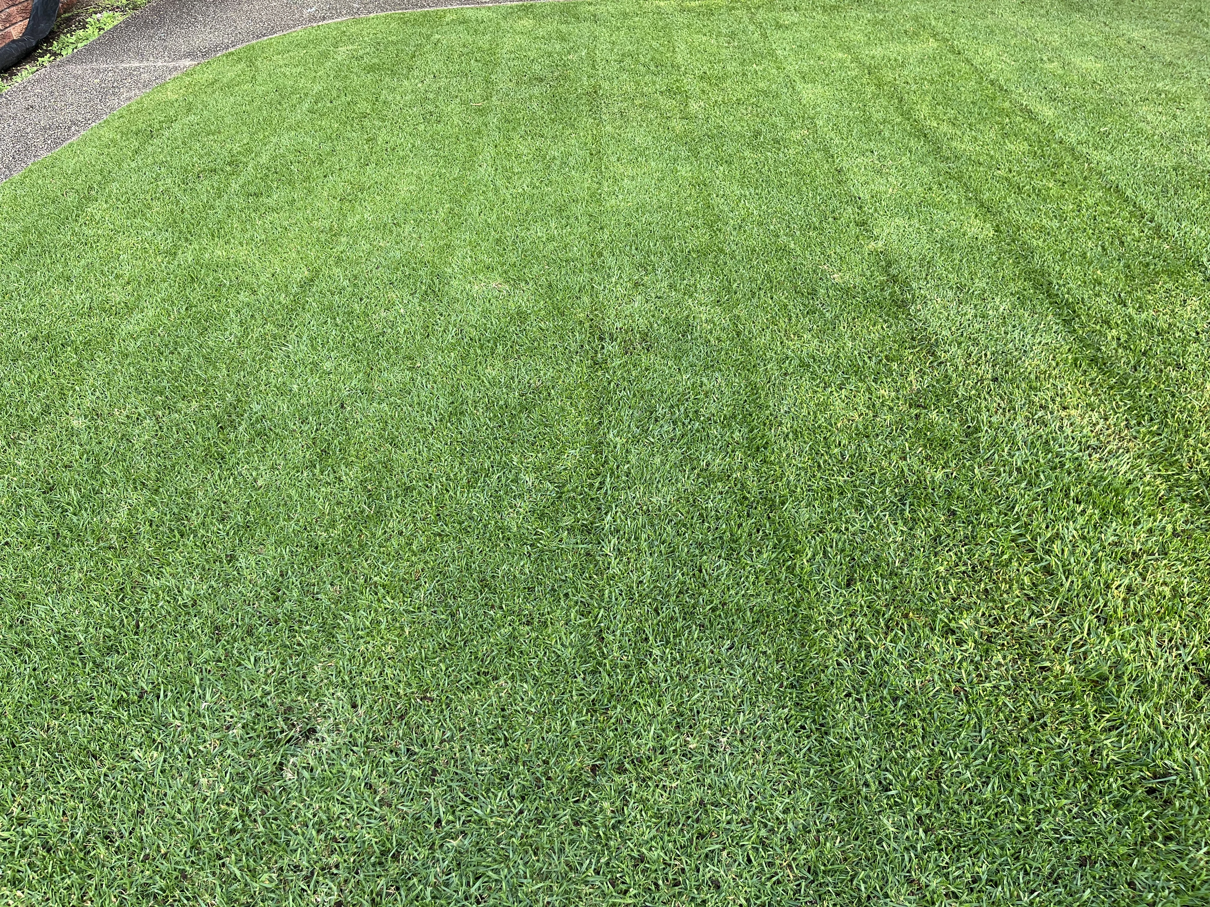 Brett's Year-Round Lawn Care Routine