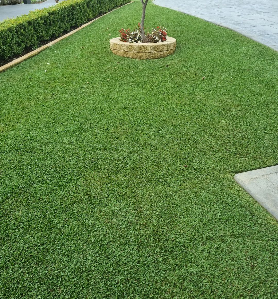 Recipe for lawn success