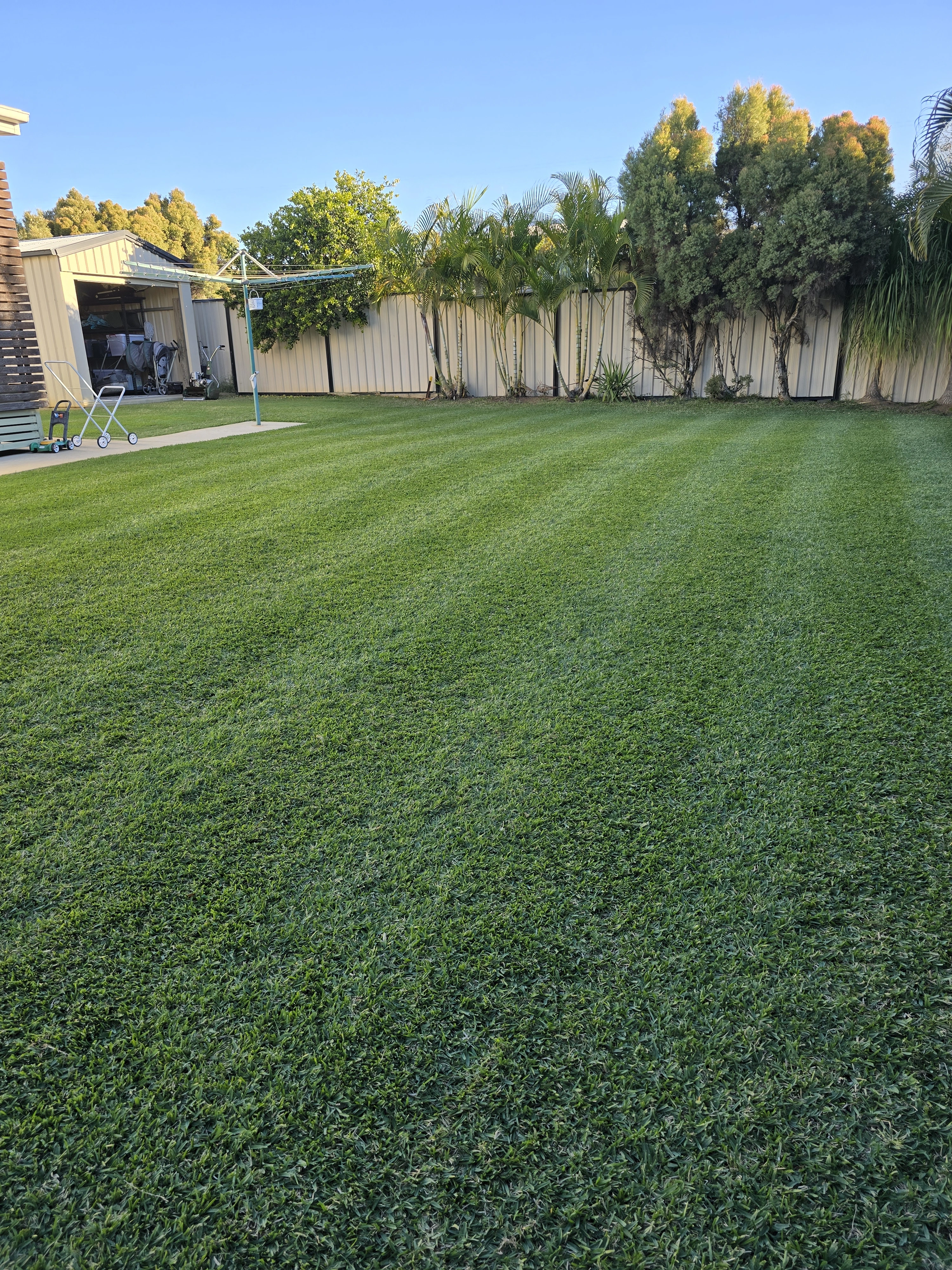 Brenton's Monthly Lawn Care Routine