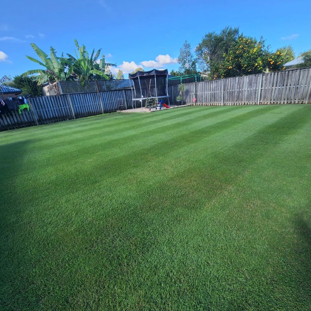 Need lawn inspiration?