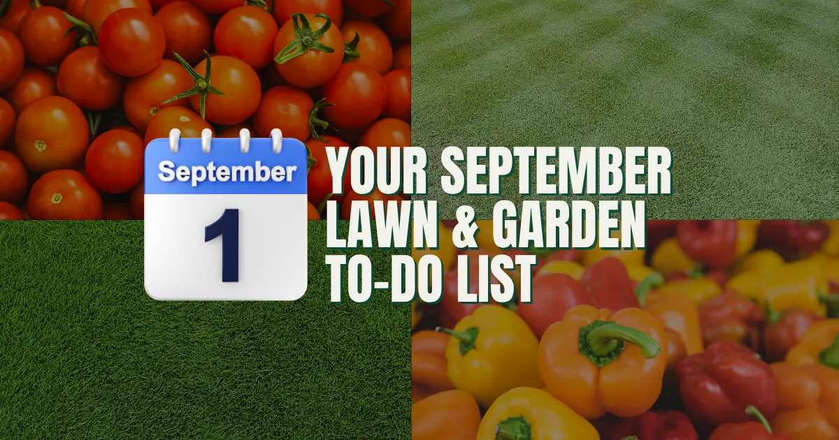 Your September Lawn & Garden To-Do List