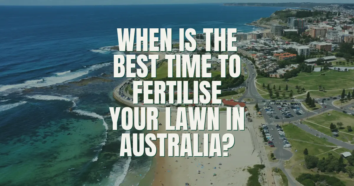When Is the Best Time to Fertilise Your Lawn in Australia?