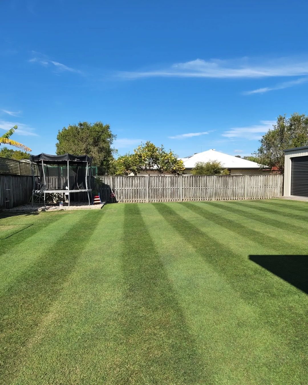 Winter lawn success