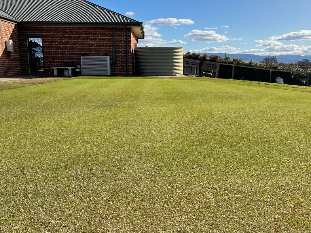Winter lawn care