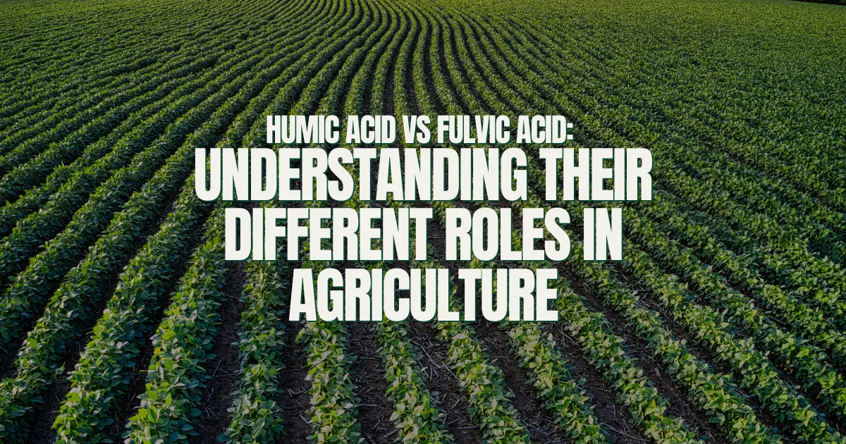 Humic Acid vs Fulvic Acid: Understanding Their Different Roles in Agriculture