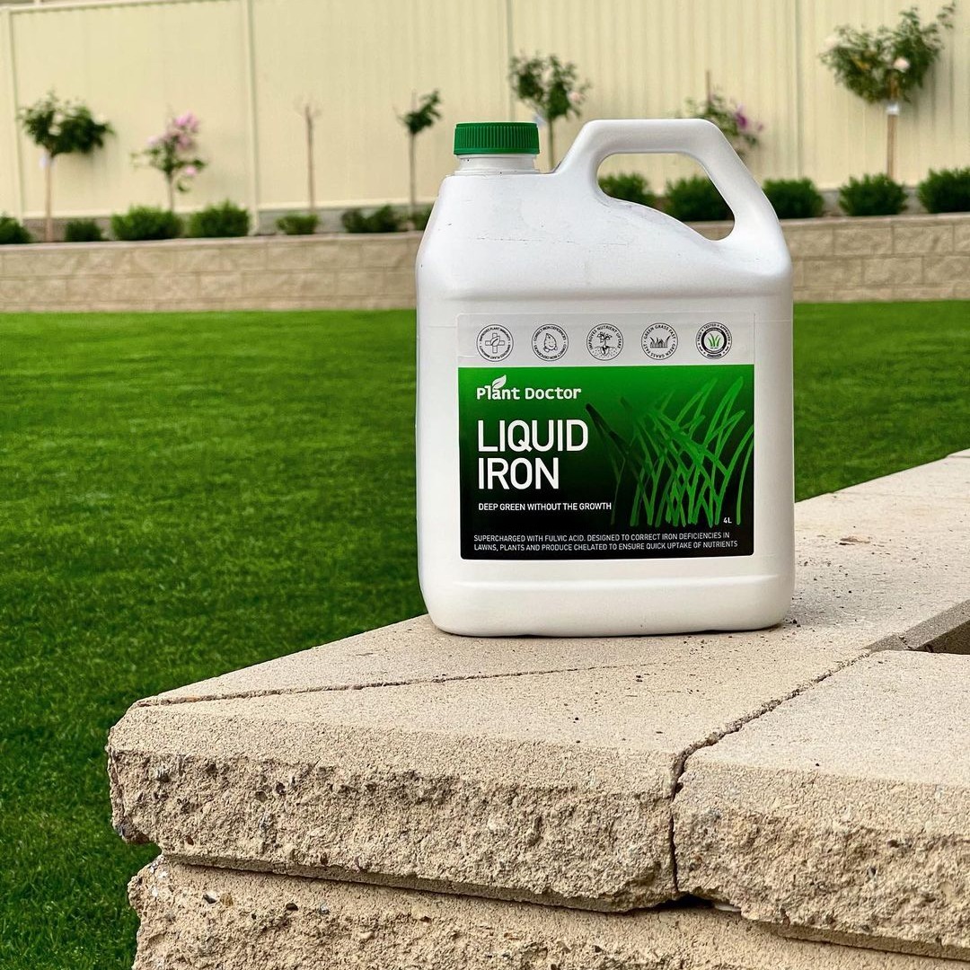 Iron deficient lawn? Tips on using Liquid Iron fertiliser on your lawn