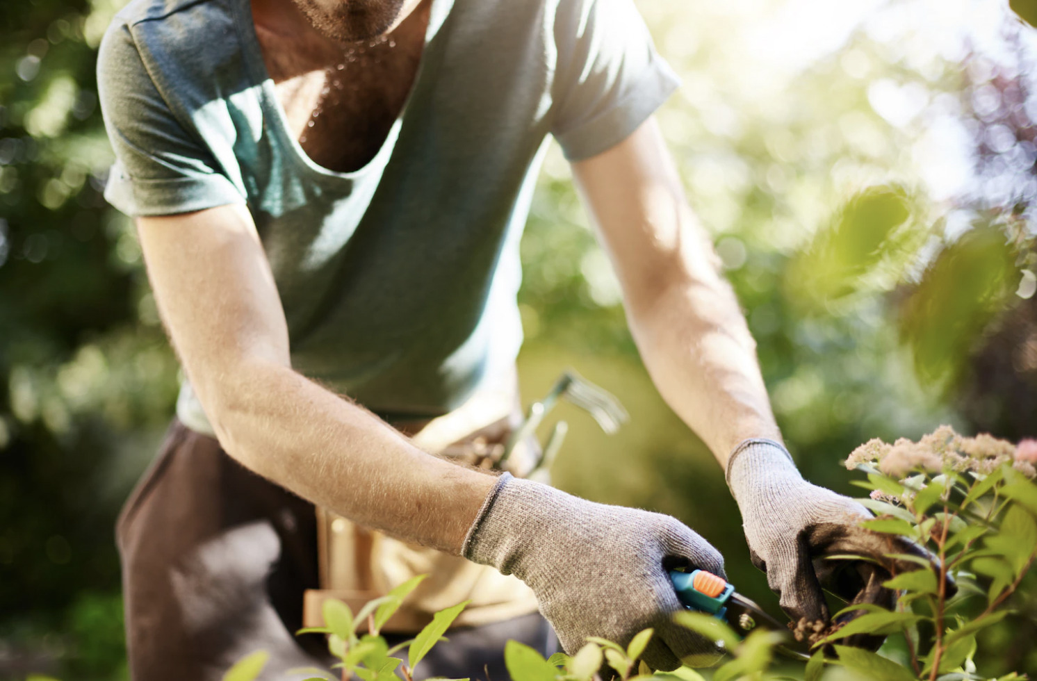 5 Tips to Get Your Garden Ready for Spring