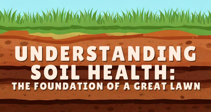 Understanding Soil Health: The Foundation of a Great Lawn 