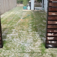 Before & After - Paul M