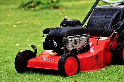 Case study: a lawn fanatic’s ultimate turf renovation