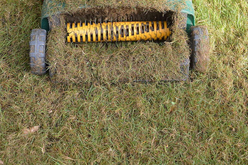 De-thatching: what is it and why your turf needs it