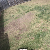 Before & After - Brett M