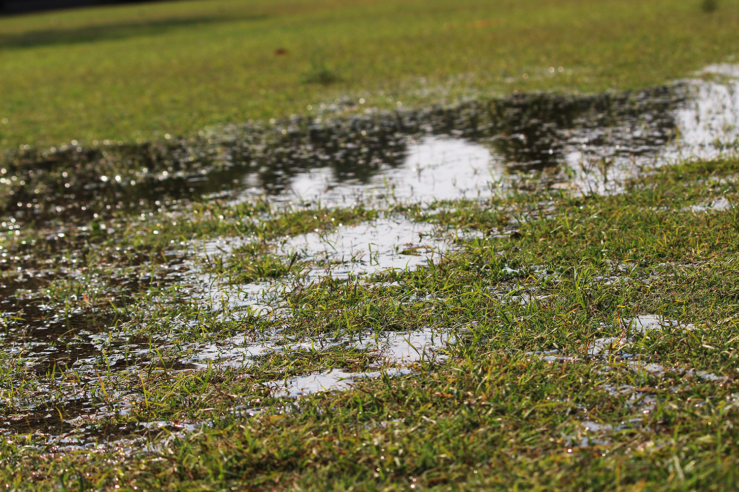Our solution for waterlogged lawns and gardens 